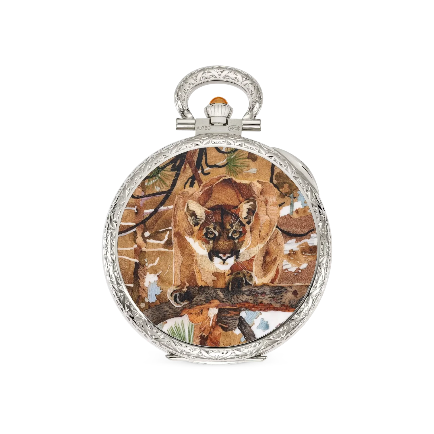 Patek Philippe Rare Handcrafts 995/150G-001